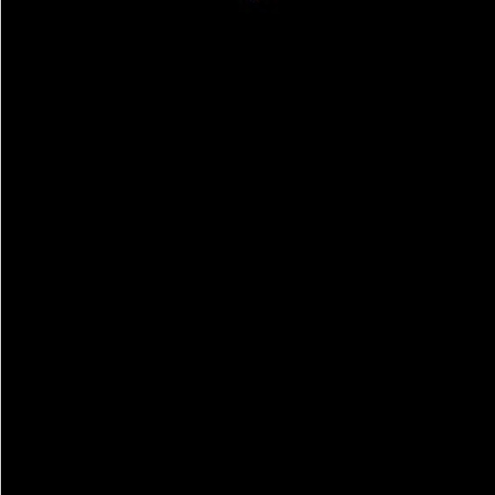 Meet your Posher, Payton